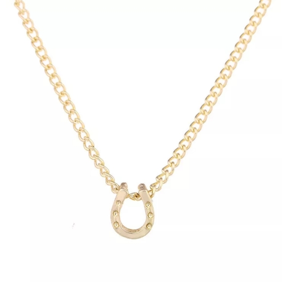 Lucky Horseshoe Necklace Horse Cowgirl Western Country Vaquera Dainty Minimalist - Picture 2 of 13